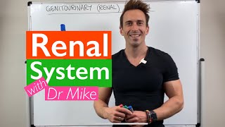 Renal System  Overview [upl. by Etnoval]