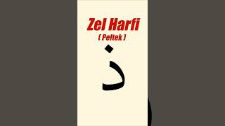 Zel Harfi [upl. by Notaes]