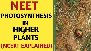 PhotosynthesisClass 11NCERTQuick Revision SeriesNEETAIIMSJipmer2019By Beats For Biology [upl. by Porta754]