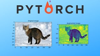 Pytorch Data Augmentation using Torchvision [upl. by Casabonne]