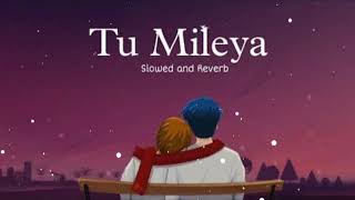 Tu Mileya  Slowed And Reverb  Use Headphones ❤️‍🩹 lofi slowedandreverb [upl. by Bocyaj223]