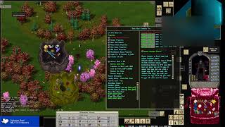 Ultima online Quest and Legends VERY quick EVO guide [upl. by Sadnac242]