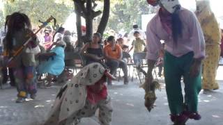 Historia de la danza comedia tradicional de los tecuanes EN FOTOS [upl. by Alrich76]