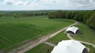 Drone shot of Gusbourne Vineyard Kent UK [upl. by Carma]