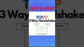 routing protocol  ebgp and ibgp  path vector algorithm  three way handshake bgp shorts [upl. by Roseline]