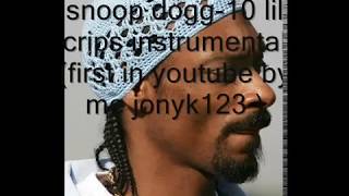 snoop dogg 10 lil crips instr [upl. by Llerryt]