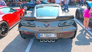 Chevrolet Corvette Motorworld Germany Stuttgart Böblingen 4K Встреча корветов [upl. by Olim175]