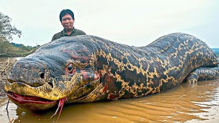 Découverte surprenante Les monstres les plus meurtriers du fleuve Amazone [upl. by Acinor]