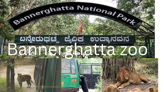 Bannerghatta national park and Jungle safari [upl. by Leak]