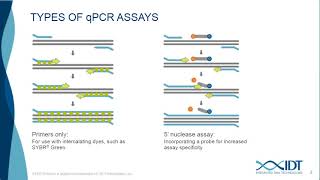 Design and optimize high multiplexing digital PCR assays with the naica® system [upl. by Jodie36]