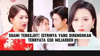 Suami Terkejut Istrinya yang Diremehkan Ternyata CEO Miliarder [upl. by Neelcaj]