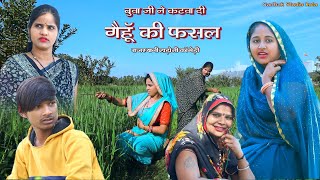 बुवाजी ने कटवा दी गेहूँ की फसल ll Gehun ki fasal ll सार्थक स्टूडियो llSarthak studio amp Team Raipura [upl. by Hamitaf]