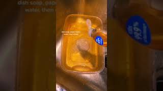 How to Remove Red Sauce From Plastic Tupperware [upl. by Atisusej]