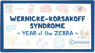 Wernicke Korsakoff Syndrome Year of the Zebra [upl. by Abigale]