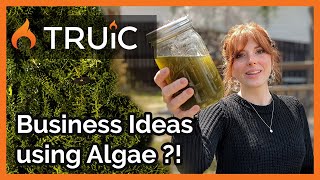 A Sustainable Business You Can Start at Home  Algae Farm Business Ideas [upl. by Adnilreh313]