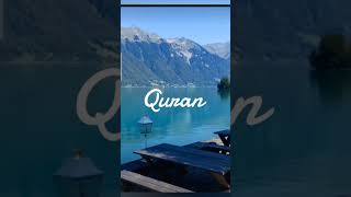 Surah Rehman Translation in Urdu urdu motivation surahrahmanurdu surahrahman 💕🌹💚 [upl. by Nolava210]