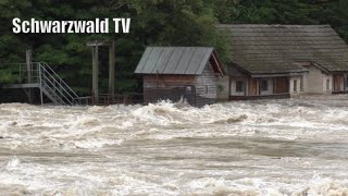 🚨🌊 Hochwasser in Rheinfelden War die alte Rheinbrücke dieses Mal nicht in Gefahr 01062024 [upl. by Yorztif442]