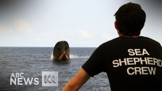 Sea Shepherd rescue crew from sinking ship [upl. by Ahsiuqal177]