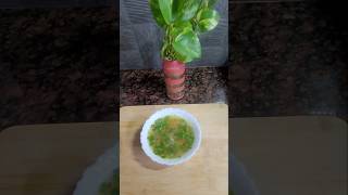 Zero Oil Soup Recipe  Without Corn Flour  Vegetable Coriander Soup soup ytshorts youtubeshorts [upl. by Gerome381]