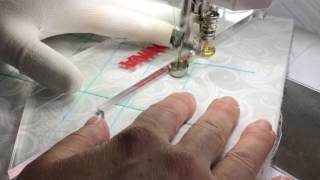 Stitching and Freemotion quilting with the BERNINA Adjustable Ruler Foot 72 [upl. by Malan495]