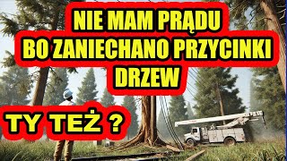 PGE Nie Przycina Drzew a Ty Płacisz Za Awarię Prądu Sprawdź [upl. by Aisinoid]