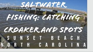 Saltwater Fishing  Catching Croaker amp Spot in the Saltwater Creeks at Sunset Beach North Carolina [upl. by Mcnamara]