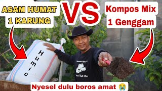 Kompos se Ember untuk 100 Tanaman sampai panen [upl. by Adiuqal56]