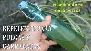 REPELENTE DE GARRAPATAS PULGAS E INSECTOS  PARA PERRITOS  Mixi [upl. by Nuawtna447]