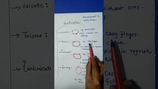 Types Of Aestivation Trick  Morphology Of Flowering Plant  Class 11 [upl. by Ised]