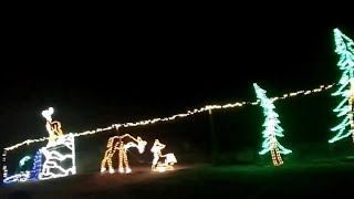 Christmas Tree Farm and Christmas Light Hayride Southern California December 2023 Los Angeles area [upl. by Heppman]