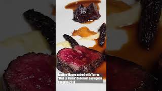 Exclusive Torres Wine Dinner [upl. by Wilonah]