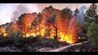 Incendio en el Parque Natural del Alto Tajo  Wildfire at Alto Tajo IGEOTV [upl. by Gladis]