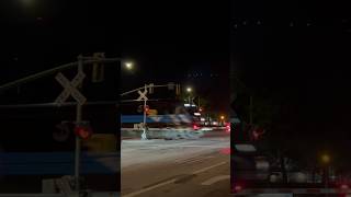 Amtrak 301 50 Year Anniversary Unit leading Amtrak 794 through Camarillo CA 92624 [upl. by Znieh783]