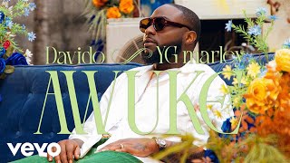 Davido YG Marley  Awuke Official Video [upl. by Wehner524]