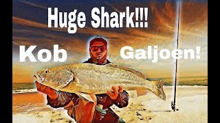 ZLF Fishing De Hoop part 3  Galjoen kob amp huge shark action [upl. by Sebastien]