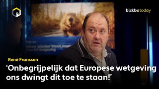 Diersoorten gijzelen Nederland maar worden beschermd door EUwetgeving [upl. by Sydelle159]