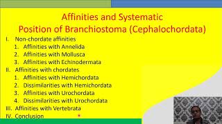 Affinities of Cephalochordata [upl. by Nuahsyd]