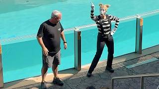 Paula The Female Mime CRUSHES It at SeaWorld Orlando [upl. by Capon959]