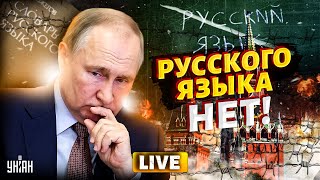 Русского языка  НЕТ Это скрывали годами Вот почему он совсем НЕ русский  LIVE [upl. by Schwinn312]