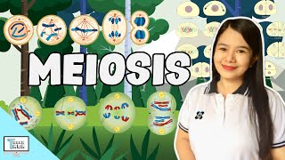 Meiosis  Biology [upl. by Melentha]