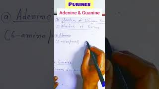 What is the structure of adenine and guanine SHORTS [upl. by Adnarrim]