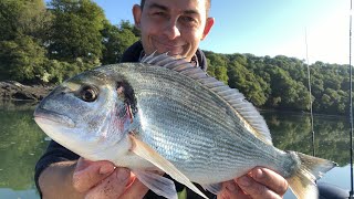 Sea Fishing UK  Gilthead Bream and Bass Fishing [upl. by Ailido]