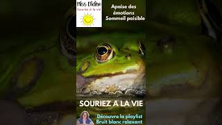 Bruit blanc grenouille pour sendormir lien en description  bruitblanc relaxation sommeil zen [upl. by Sheets]