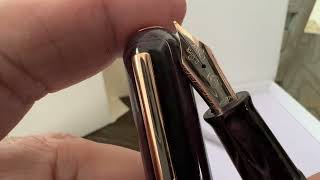 Nahvalur Nautilus Stylophora Berry Fountain Pen [upl. by Annayt806]