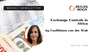 Exchange Controls in Africa  Caoilfhionn van der Walt [upl. by Lauritz433]