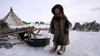 Children of TUNDRA Winter Everyday life of nomads North of Russia Nenets [upl. by Hornstein166]