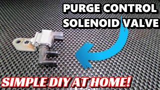 Purge Control Solenoid Valve  How to test and replace at home  P0458 P0459 [upl. by Clover823]