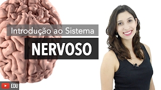 Sistema Nervoso 16 Introdução  Anatomia e etc [upl. by Weixel382]