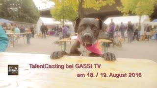 Wer und was ist GASSI TV [upl. by Panter]