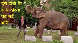 True story of Elephants friendship Larger Than Life Movie Explained in Hindi [upl. by Llewen]